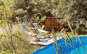 Boutique Glamping Divja Divine