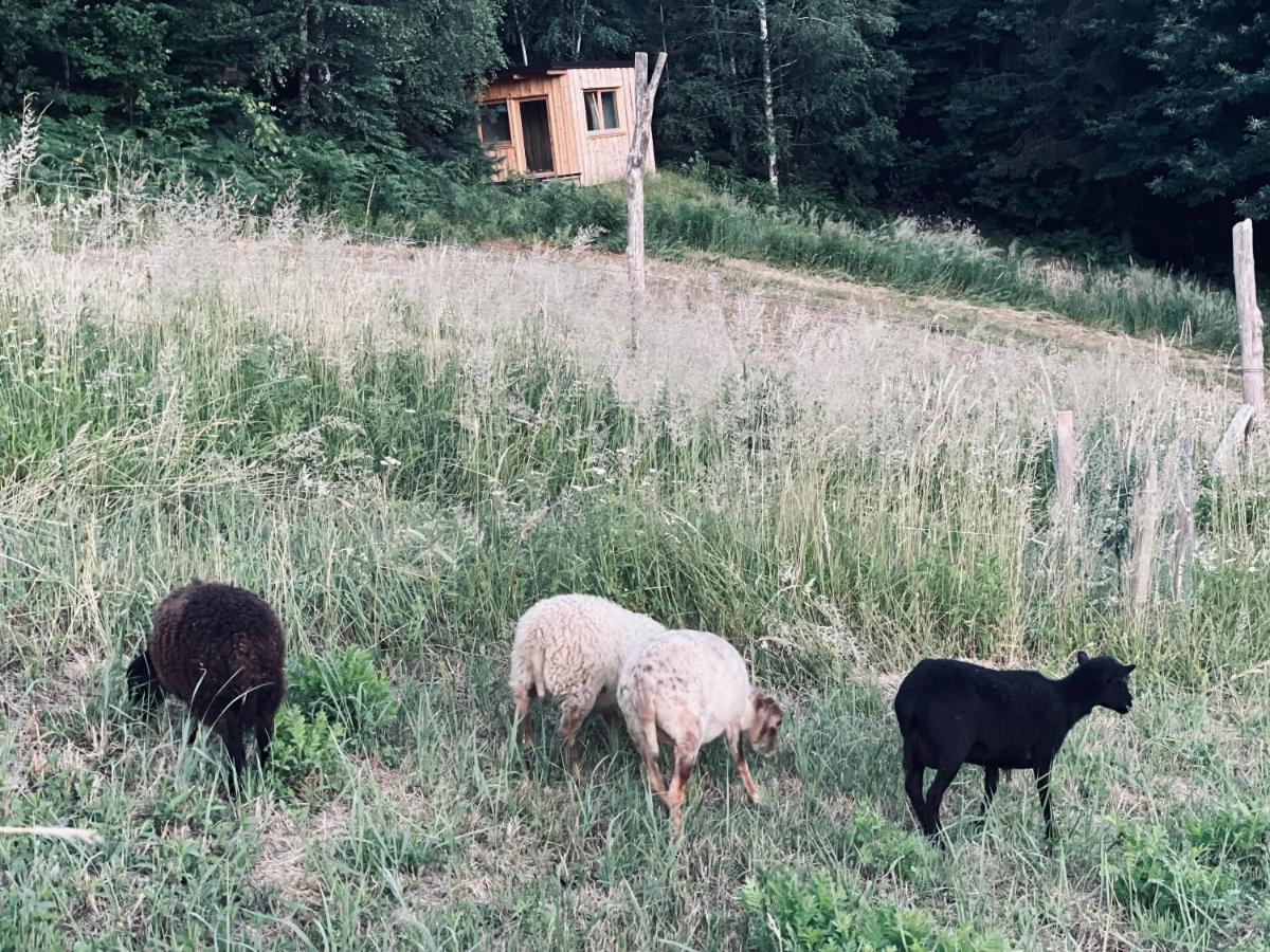 Boutique Glamping Divja Divine Villa Zgornja Korena Buitenkant foto