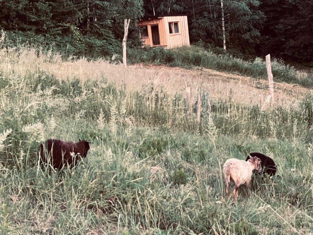 Boutique Glamping Divja Divine Villa Zgornja Korena Buitenkant foto