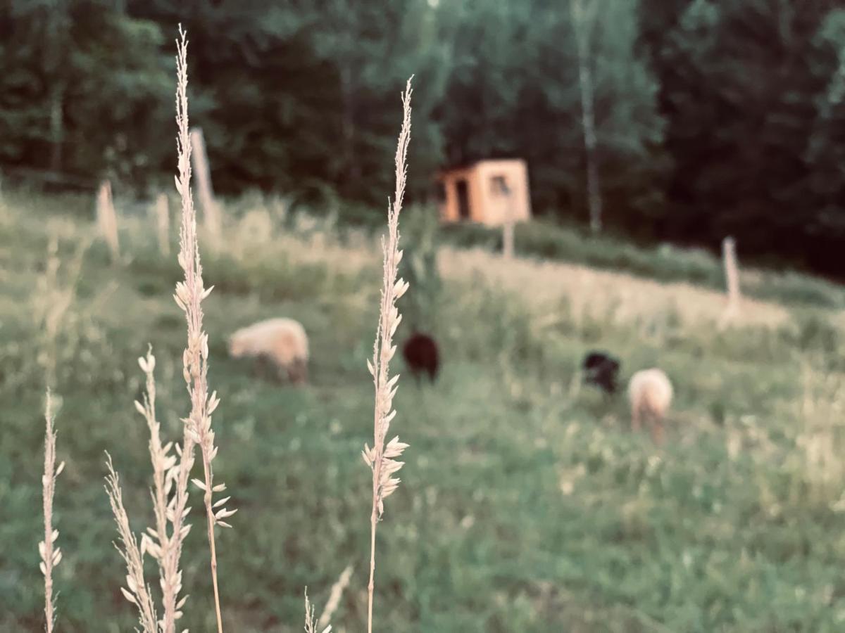 Boutique Glamping Divja Divine Villa Zgornja Korena Buitenkant foto