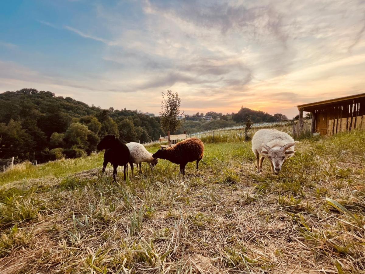 Boutique Glamping Divja Divine Villa Zgornja Korena Buitenkant foto