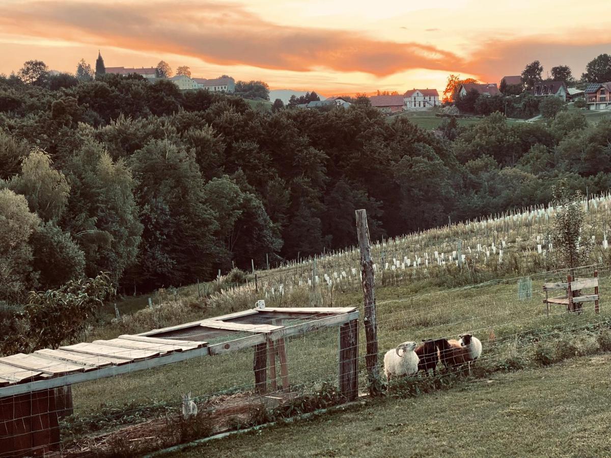 Boutique Glamping Divja Divine Villa Zgornja Korena Buitenkant foto