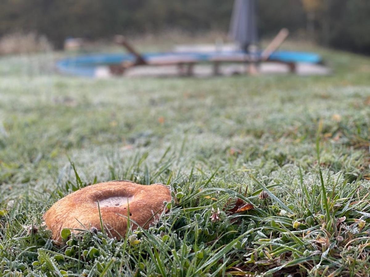 Boutique Glamping Divja Divine Villa Zgornja Korena Buitenkant foto